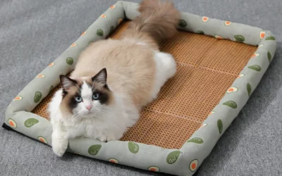 Bamboo Cooling Mat for Cats – Natural Cooling Comfort for Your Feline Friend | AnoPetShop