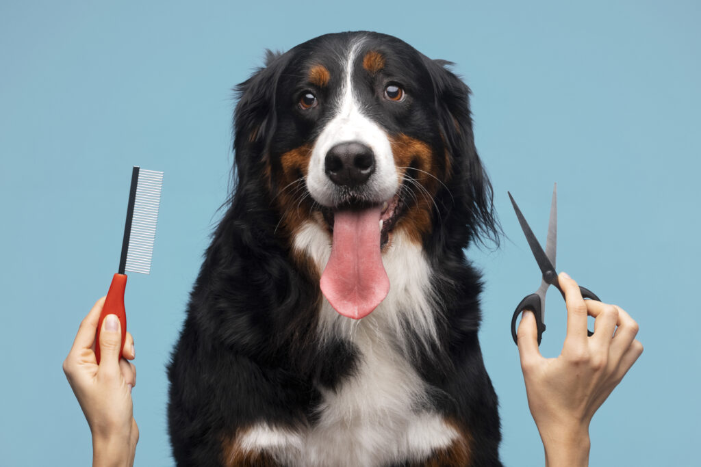 Pet grooming